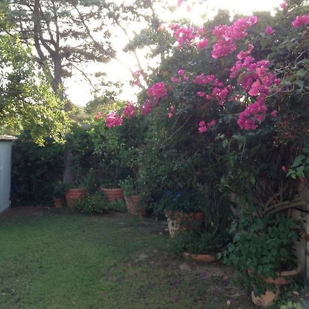 Deliziosa Villa 150 Metri Dal Mare Quartu SantʼElena Εξωτερικό φωτογραφία