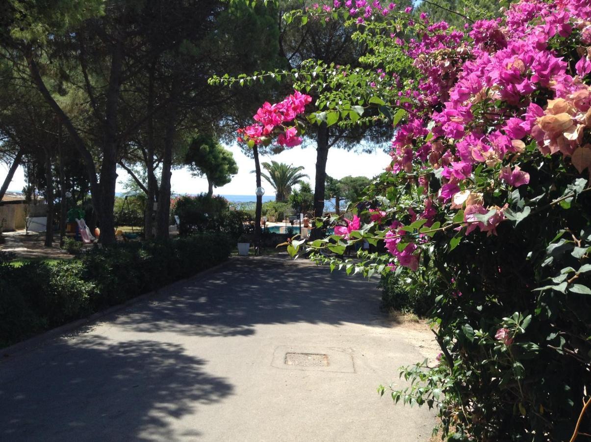 Deliziosa Villa 150 Metri Dal Mare Quartu SantʼElena Εξωτερικό φωτογραφία